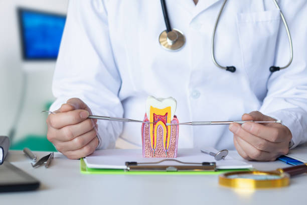 Best Emergency Dental Care for Broken or Chipped Teeth in Goulding, FL